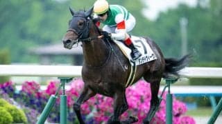 【京都7R】単勝1.4倍タンテドヴィーヴルが断然の支持に応える