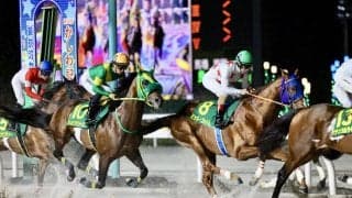 【かしわ記念】高木師「最後の直線は力が入りました」ウィルソンテソーロが差し切る