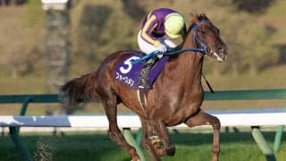 【盛岡・ダイヤモンドC】「これは！」という手応えで差し切りV！フォースメンが重賞初制覇