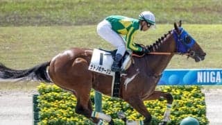 【園田・兵庫CS注目馬】3歳ダート短距離王決定戦 未来のスターホースは潜んでいるか
