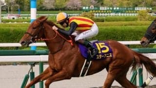 【オークス想定】スターアニス、ラフターラインズなど15頭