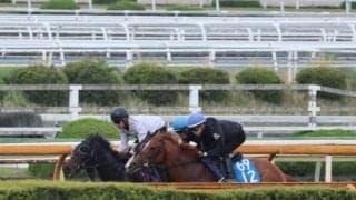 アランカール、オークス2週前追い切り速報/栗東トレセンニュース