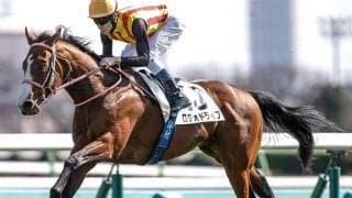 【NHKマイルC展望】ロデオドライブが前走の惜敗を糧に戴冠を狙う