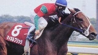 “NHK杯”は競馬にもあった ダービー前哨戦からマイルCへ続く系譜