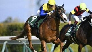【NHKマイルC出走馬・騎手確定】ダイヤモンドノット＆川田将雅騎手、ロデオドライブ＆D.レーン騎手など18頭