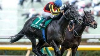 【エプソムC出走馬・騎手確定】トロヴァトーレ＆C.ルメール騎手、カラマティアノス＆津村明秀騎手など17頭