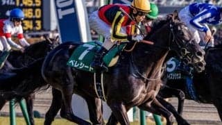【京都新聞杯出走馬・騎手確定】ベレシート＆北村友一騎手、エムズビギン＆川田将雅騎手など16頭