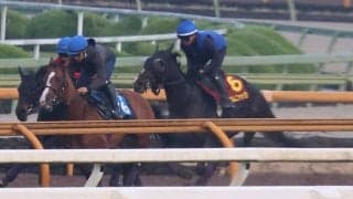 カムニャック、ヴィクトリアM1週前追い切り速報/栗東トレセンニュース
