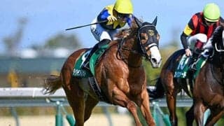 【NHKマイルC・調教後馬体重】ダイヤモンドノットは484kg、ロデオドライブは482kg