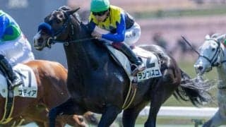セレクト1.5億円の良血 ランブルスコがルメール騎手と初タッグで初勝利狙う