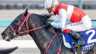 いとこは名馬イクイノックス ショウナンマクベスが待望の復帰戦で3勝目なるか