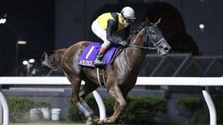 【エンプレス杯】メモリアカフェなどJRA馬は5頭