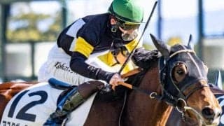 フランケル×レッツゴードンキの超良血 アスクヴォルテージが初の芝1200mで1年ぶり勝利なるか