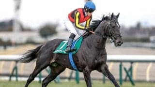 【エプソムC枠順確定】トロヴァトーレは6枠11番、カラマティアノスは2枠4番