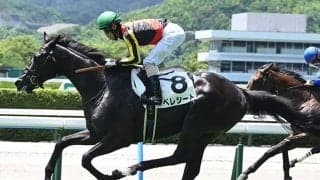 【京都新聞杯枠順確定】ベレシートは8枠15番、エムズビギンは1枠2番
