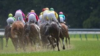 【NHKマイルC／データ攻略】ダイヤモンドノットとカヴァレリッツォの「買い or 消し」　朝日杯FSワンツーで“馬券軸筆頭”は