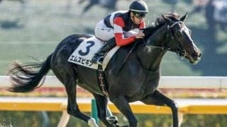 【京都新聞杯予想】重賞連対の前走も信頼しすぎ禁物!? 過去傾向から不安な人気馬