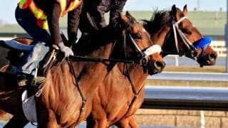 【NHKマイルC／追い切り診断】回転力の高さで“グイグイ伸びる”走りに高評価「A」　迫力満点で「気性面の危うさは推進力へ」