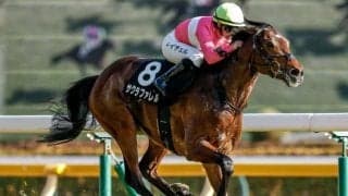 【エプソムC予想】テンから流れるレースは大型馬に不向き!? 臨戦過程も気になる有力馬とは
