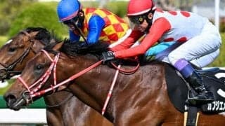 叔母はGI・9勝の歴史的名牝 カフジエメンタールが京都新聞杯で重賞初制覇狙う
