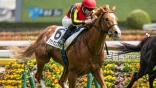名牝グランアレグリアの初仔 グランマエストロが惜敗続きにピリオドを打つか