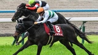 京都新聞杯は波乱傾向 好成績のタッグに注目だ