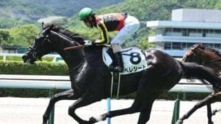 【京都新聞杯予想】ダービーへ飛躍狙う実力馬集結 京都外回りで真価問う一戦