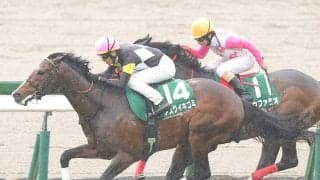 【競馬予想】NHKマイルＣの狙い目を血統でチェック　年明けデビュー馬の無傷の３連勝はある？