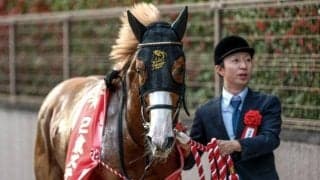 【NHKマイルC前日オッズ】ダイヤモンドノットが4.2倍で1番人気