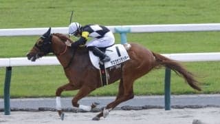 【京都6R】激しい先行争い制したアスクケンタッキーが逃げ切りV…7番人気の伏兵