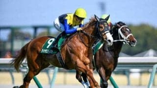 【AI予想・NHKマイルC】芝1400での実績に注目！3歳マイル王へ勢い十分の一頭