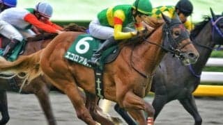 霜降り明星・粗品はエコロアルバを信頼 NHKマイルCは3連単＆3連複で勝負だ