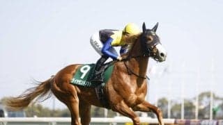 【今日の注目ポイント】3歳マイル王決定戦・NHKマイルC