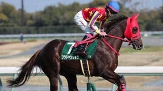 【競馬予想】NHKマイルＣは今年も100万馬券が飛び出すか!?　穴党記者推奨の「高配当の使者」２頭