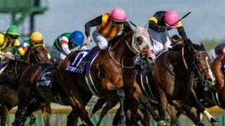 【NHKマイルC】レーンお見事！ロデオドライブが大外一気、測ったような差し切りV