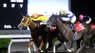 【高知・春野特別】ミスズグランドオーが接戦制す…グッドウッドガイの追撃振り切る