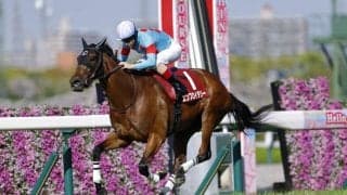 【ヴィクトリアマイル登録馬】二冠牝馬エンブロイダリー、オークス馬カムニャックなど20頭