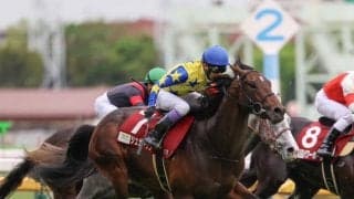 【新潟大賞典登録馬】良血シュガークンなど17頭