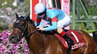 【ヴィクトリアM見どころ】昨年の最優秀3歳牝馬エンブロイダリーが更に勲章を手にする
