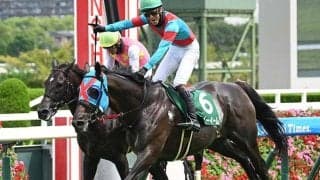 【京都HJ想定騎手】ネビーイームは小牧加矢太騎手、メイショウアツイタは難波剛健騎手