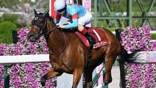 【ヴィクトリアM想定騎手】エンブロイダリーはC.ルメール騎手、クイーンズウォークは西村淳也騎手