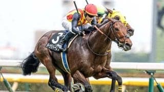 【新潟大賞典想定騎手】ドゥラドーレスはC.ルメール騎手、シュガークンは武豊騎手
