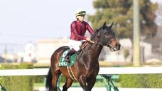 【先週のJRA抹消馬】芝マイルで活躍のセッション、ダ1800mで5勝のロードアヴニールなど