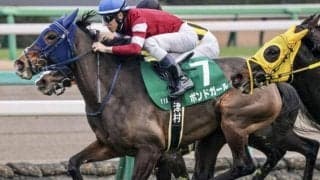 【ヴィクトリアM】「1勝馬の賞金王」ボンドガール 藤田晋オーナーに初のJRA・GIタイトルを届けるか