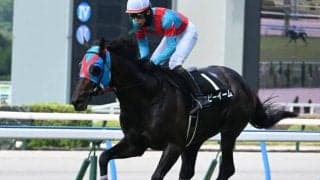 【京都HJ予想オッズ】ネビーイームが予想1番人気