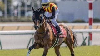 【新潟大賞典予想オッズ】ドゥラドーレスが予想1番人気