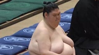 「足が細すぎるよ」「お尻が小さい」185センチ巨漢力士、“ほっそり”美脚にファン注目