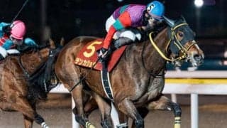 【川崎・エンプレス杯注目馬】春のダート牝馬頂上決戦 テンカジョウの連覇か、新たな主役の誕生か