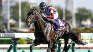 【日本ダービー想定】ロブチェン、ゴーイントゥスカイなど20頭