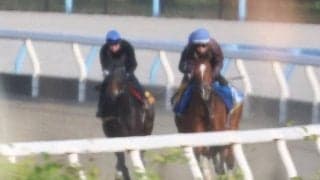 アランカール、オークス1週前追い切り速報/栗東トレセンニュース